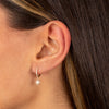  Diamond Pavé Starburst Huggie Earring 14K - Adina Eden's Jewels