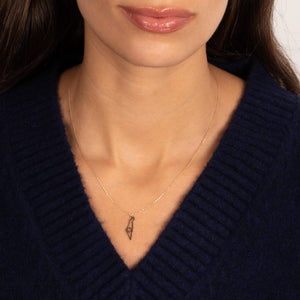 Israel Map Star of David Necklace 14K - Adina Eden's Jewels