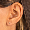  CZ Starburst Stud Earring 14K - Adina Eden's Jewels