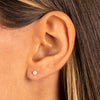  Pearl Stud Earring 14K - Adina Eden's Jewels