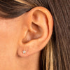  Tiny Pave Star Stud Earring 14K - Adina Eden's Jewels