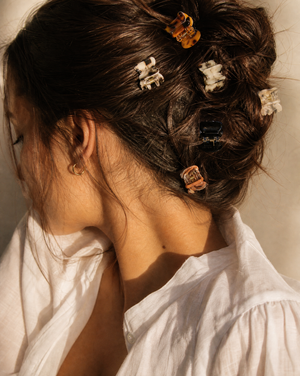 Everyday Neutral Mini Claw Clip Set (Clear, Tortoise & Black) - Adina Eden's Jewels