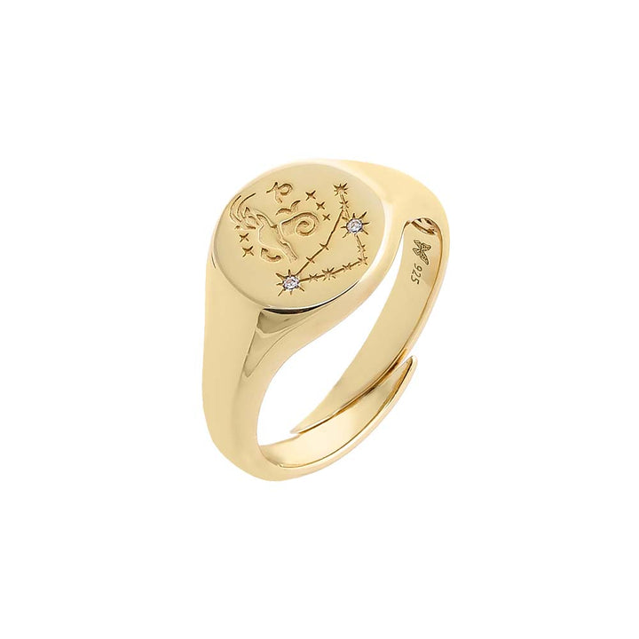 Gold / Capricorn Zodiac Signet Pinky Ring - Adina Eden's Jewels