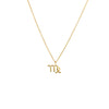 14K Gold / Virgo Solid Zodiac Necklace 14K - Adina Eden's Jewels