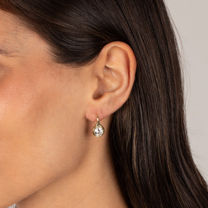 CZ Rounded Bezel Fish Hook Huggie Earring – Adina Eden