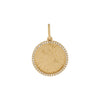  Diamond Zodiac Coin Charm 14K - Adina Eden's Jewels