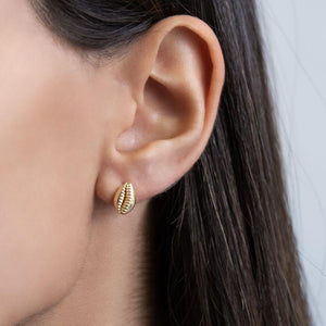  Shell Stud Earring - Adina Eden's Jewels