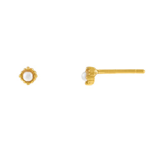 Pearl White Mini Pearl Stud Earring - Adina Eden's Jewels