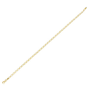 Gold Thin Chain Links Anklet - Adina Eden's Jewels