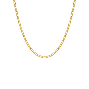 14K Gold / 16" Small Paperclip Necklace 14K - Adina Eden's Jewels