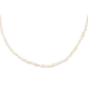 Pearl White Pearl Choker - Adina Eden's Jewels