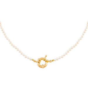 Pearl White Pearl Toggle Choker - Adina Eden's Jewels