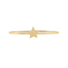  Mini Star Ring 14K - Adina Eden's Jewels