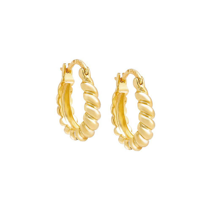 Gold / Pair Graduated Twisted Hoop Earring - Adina Eden's Jewels