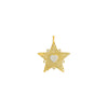 Gold Pave Star Necklace Charm - Adina Eden's Jewels