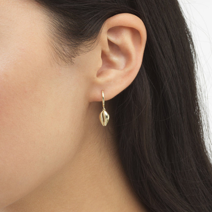  Mini Shell Huggie Earring 14K - Adina Eden's Jewels