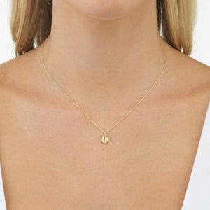  Shell Necklace 14K - Adina Eden's Jewels