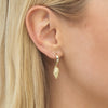  Shell Etched Huggie Earring - Adina Eden's Jewels