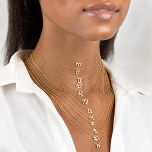  Pavé Zodiac Necklace - Adina Eden's Jewels
