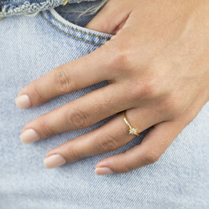  Pavé Star Ring - Adina Eden's Jewels